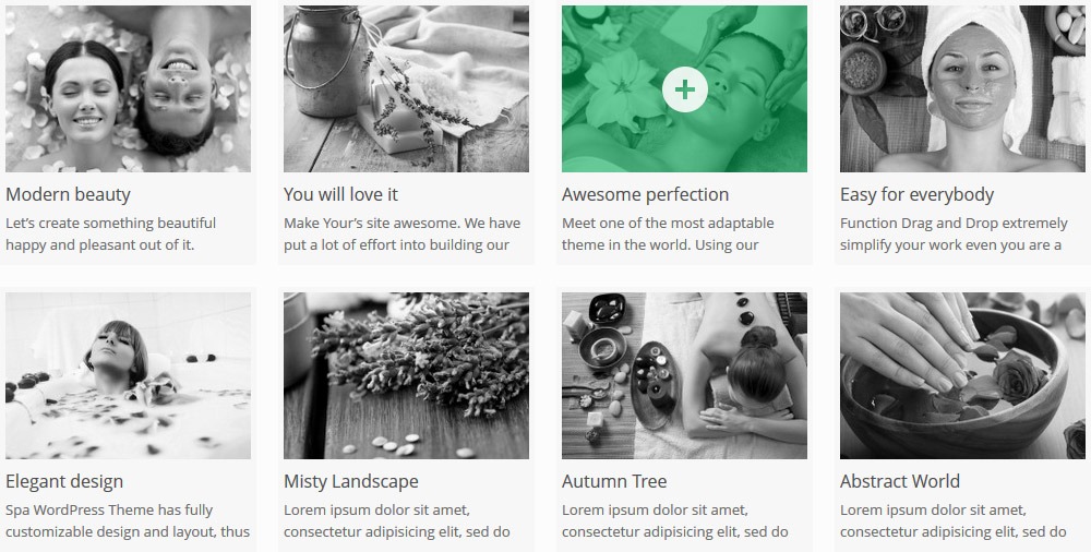 AIT Spa v2.0.6 WordPress Theme