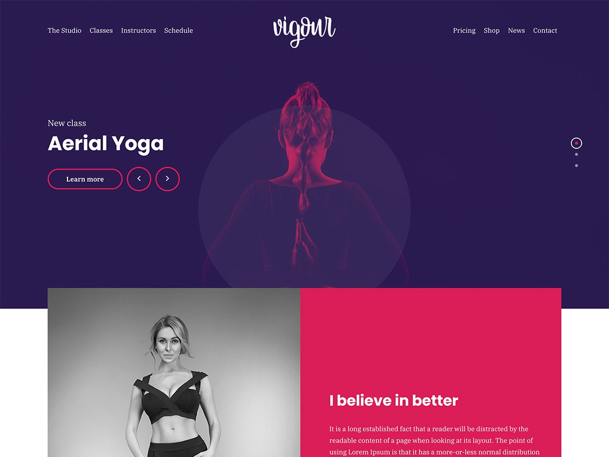 CSSIgniter Vigour WordPress Themes v.1.1.1
