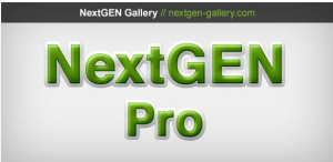 NextGen Pro by Imagely v3.30 + Imagely Theme v.3.59.2 [Activated]