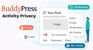 BuddyPress Auto Friendship Pro 1.2.5