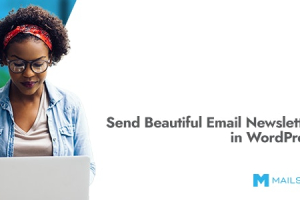 Mailster (v4.1.8) Email Newsletter Plugin for WordPress (Activated)