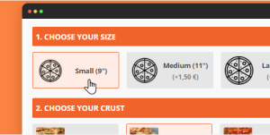 v2.13.0 Product Input Fields for WooCommerce Pro By Tyche Softwares