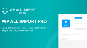 WP All Import Pro v4.9.8 + 5 Elite Addons [Soflyy]