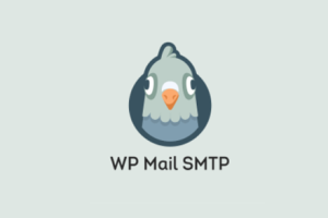 WP Mail SMTP Pro v4.3.1 [Activated]