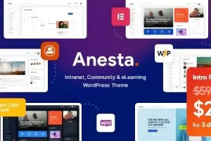 Anesta (v1.3.0) Intranet, Extranet, Community and BuddyPress WordPress Theme [Activated]