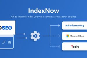 AIOSEO IndexNow v1.0.11