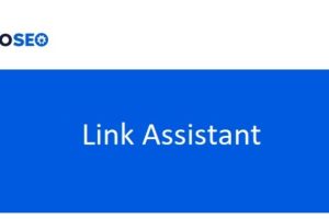 AIOSEO (v1.1.4) Link Assistant