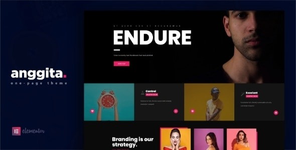 Anggita (v1.3) One Page Portfolio Theme