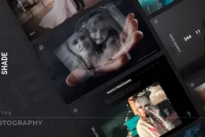 Ashade v9.1 Photography WordPress Theme