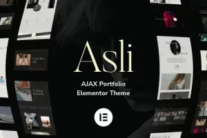 Asli v1.5.3 – AJAX Portfolio Elementor Theme