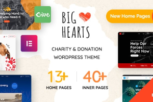 BigHearts (v3.1.3) Charity & Donation WordPress Theme [Activated]