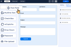 Bit Form Pro v2.11.5