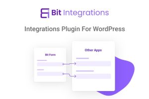 Bit Integrations Pro v2.3.9