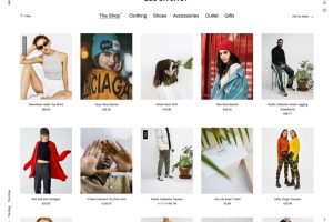 Block Shop v4.0 WooCommerce Theme