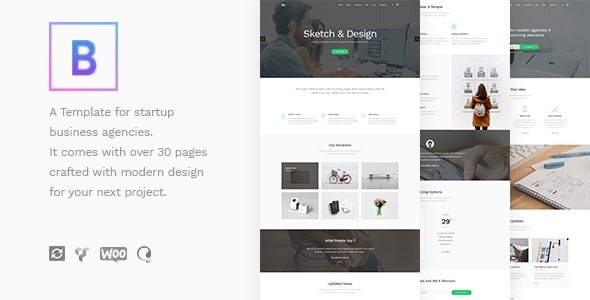 BoTheme v1.4 Startup Business WordPress Theme