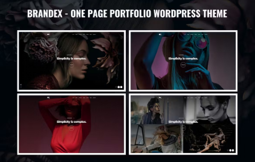 Brandex v1.0 One Page Portfolio WordPress Theme