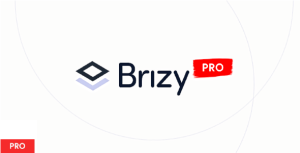 Brizy Pro v2.6.4