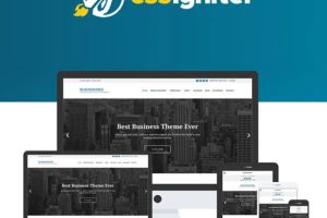 Business3ree CSSIgniter (v1.1.5) Themes