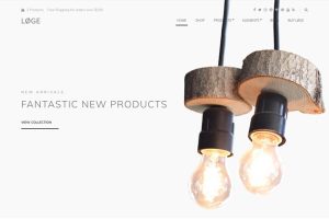 CSS Igniter Loge 1.0.7