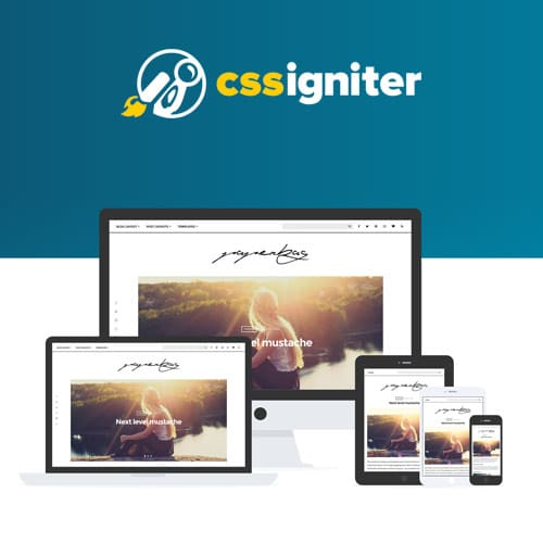 CSSIgniter Paperbag v1.5.2 Themes