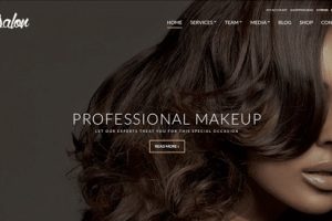 CSSIgniter Salon WordPress Theme 1.1.1