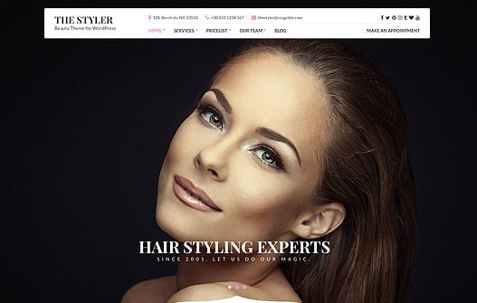 CSS Igniter The Styler WordPress Theme v1.4.5