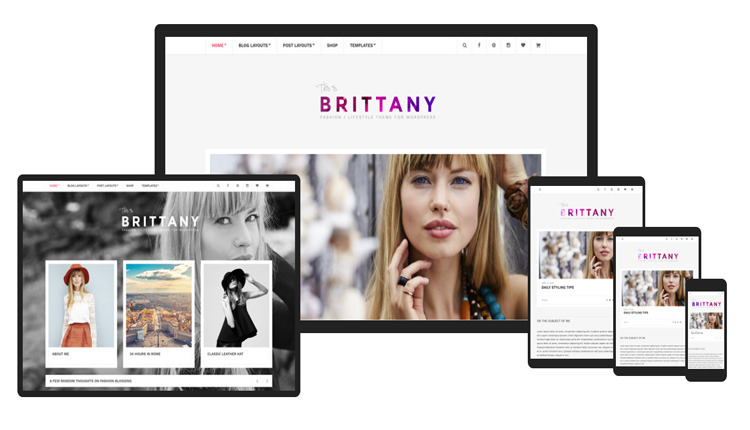 CSSIgniter Brittany WordPress themes v2.2.4 #