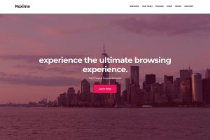 CSSIgniter Roxima v1.1.4 WordPress Themes
