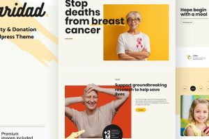 Caridad - 慈善 WordPress 主题 11.4