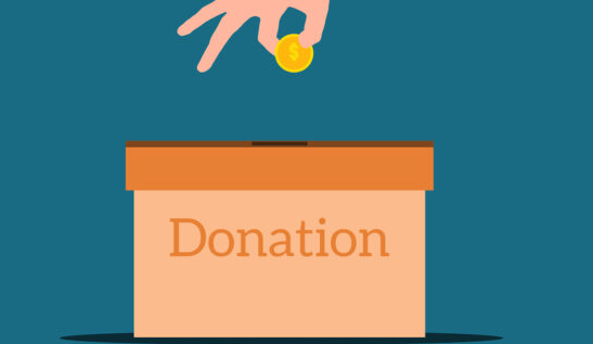 v1.8.1.4 WP Charitable Pro (Agency) Addons*