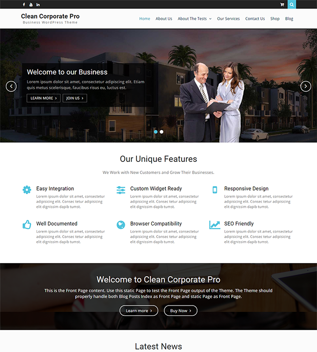Clean Corporate Pro v3.1