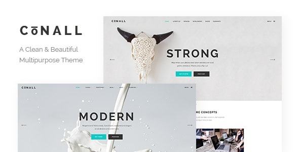 Conall v.2.4 Clean Multipurpose Theme