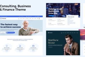 Advisero-咨询 WordPress 主题 18.1