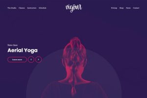 Cssignither Vigour WP Theme 1.1.0