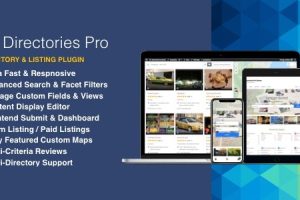 Directories Pro (v1.14.26) Directory plugin for WordPress [Activated]