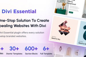 Divi Essential v4.9.12 Divi Extension For Next Label Modules