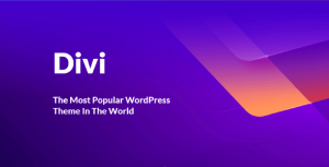 Divi v4.24.2 (Theme + Builder + Extra Theme ) Activated ** NFIX