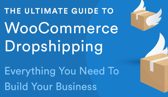 Dropshipping XML WooCommerce v2.9.4 by WpDesk
