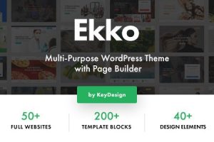 Ekko - Page Builder多用途 WordPress 主题 4.66