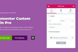 Elementor Custom Skin Pro v3.2.5 (Activated)