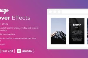 Fixed* Emage (v4.5.1) Image Hover Effects for Elementor Pro