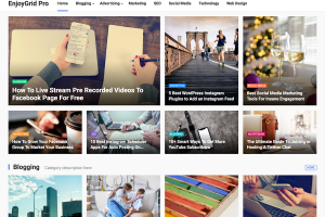EnjoyGrid Pro (v1.1.1)