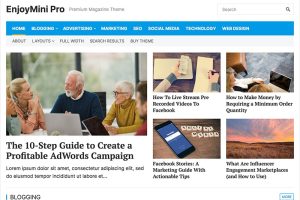 EnjoyMini Pro (v1.0.9) WPEnjoy Theme