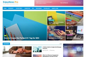 EnjoyNews Pro v1.1.6 WPEnjoy Theme
