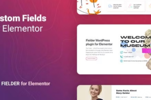 Fielder v1.1.2 WordPress Custom Fields for Elementor