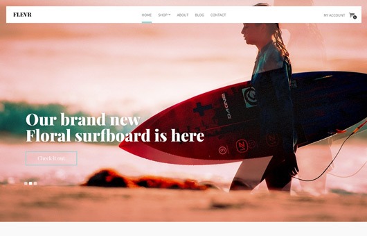 Flevr CSSIgniter Themes v2.3.8