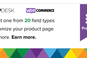 Flexible Product Fields Pro v2.5.0 + 2.7.0 by WpDesk