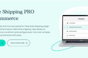 Flexible Shipping PRO WooCommerce (v2.20.1) [by Octolize, WpDesk] [Activated]