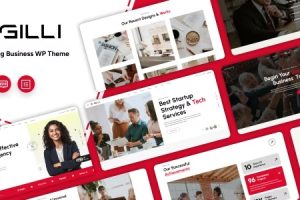 Gilli (v1.1.0) Business Consulting