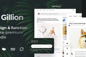 Gillion - 多概念博客/杂志和商店 WordPress AMP 主题 4.11